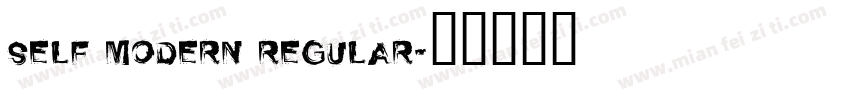Self Modern Regular字体转换